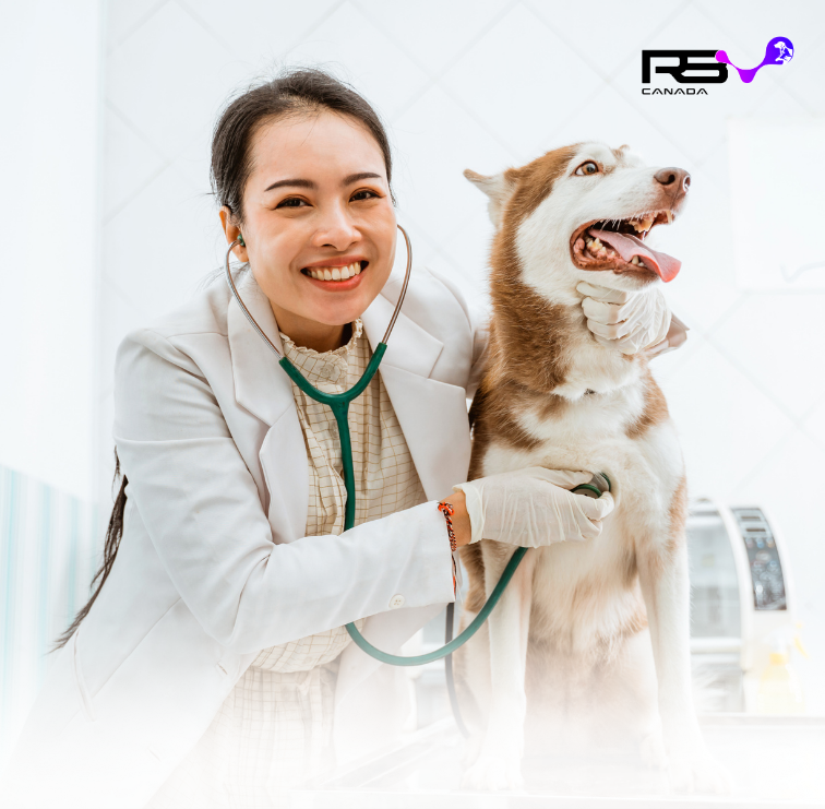 Veterinarian with dog