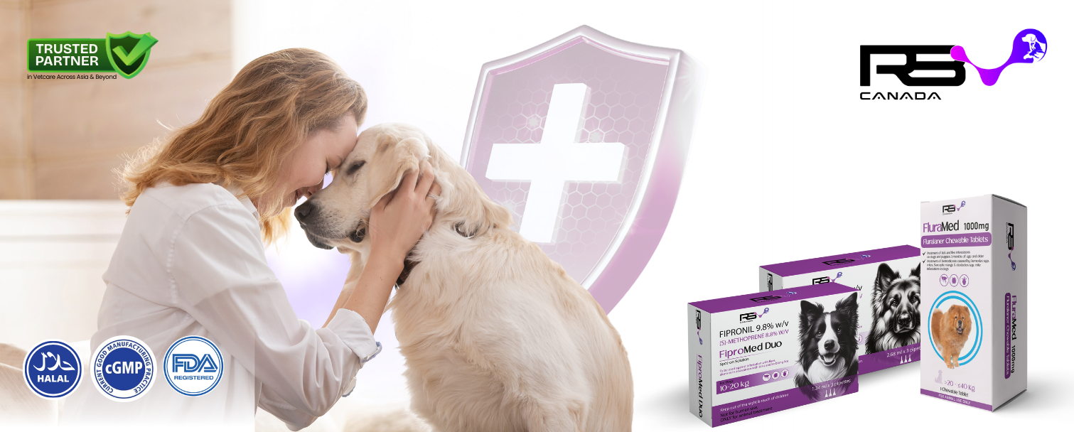 Modern Medical Facility