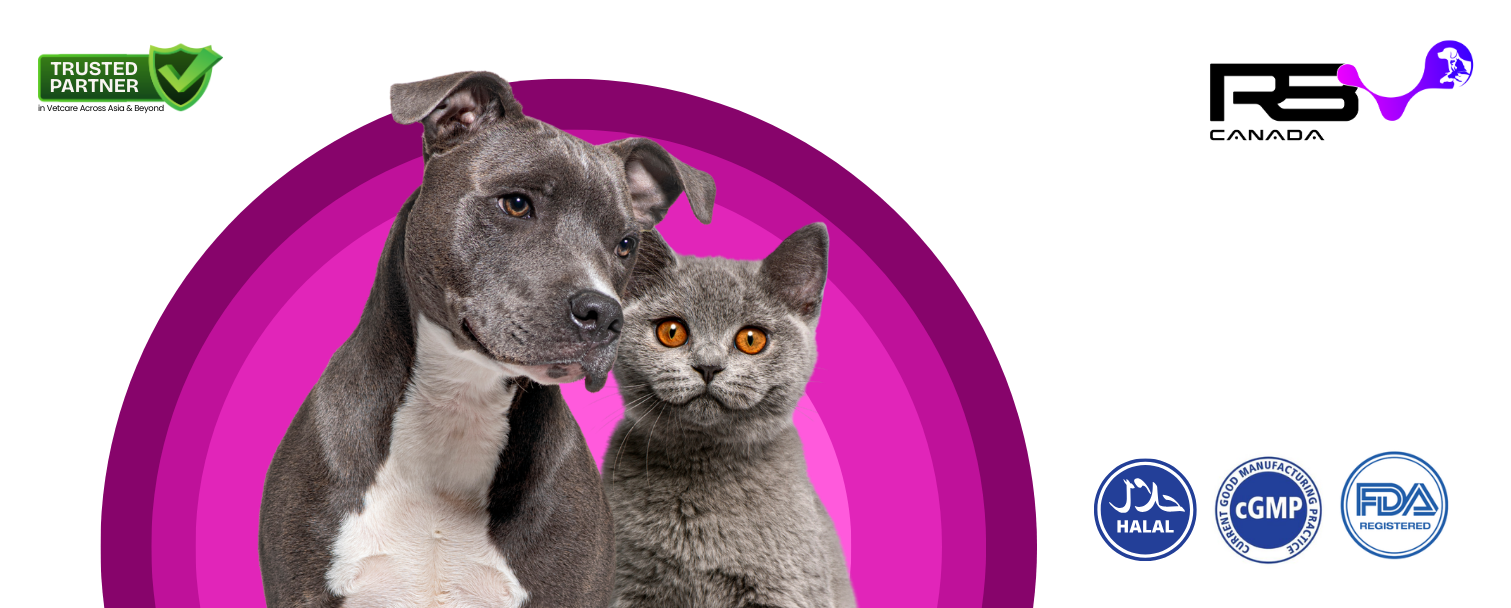 Professional Healthcare