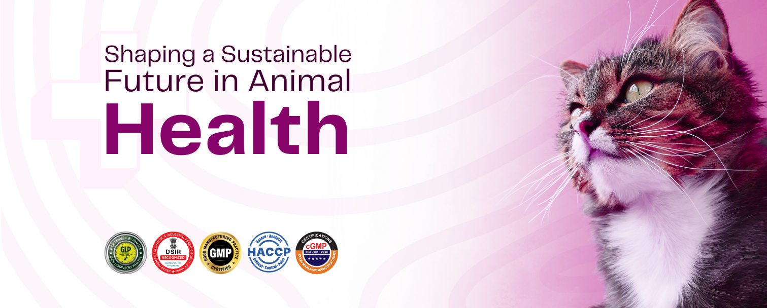 Professional Healthcare