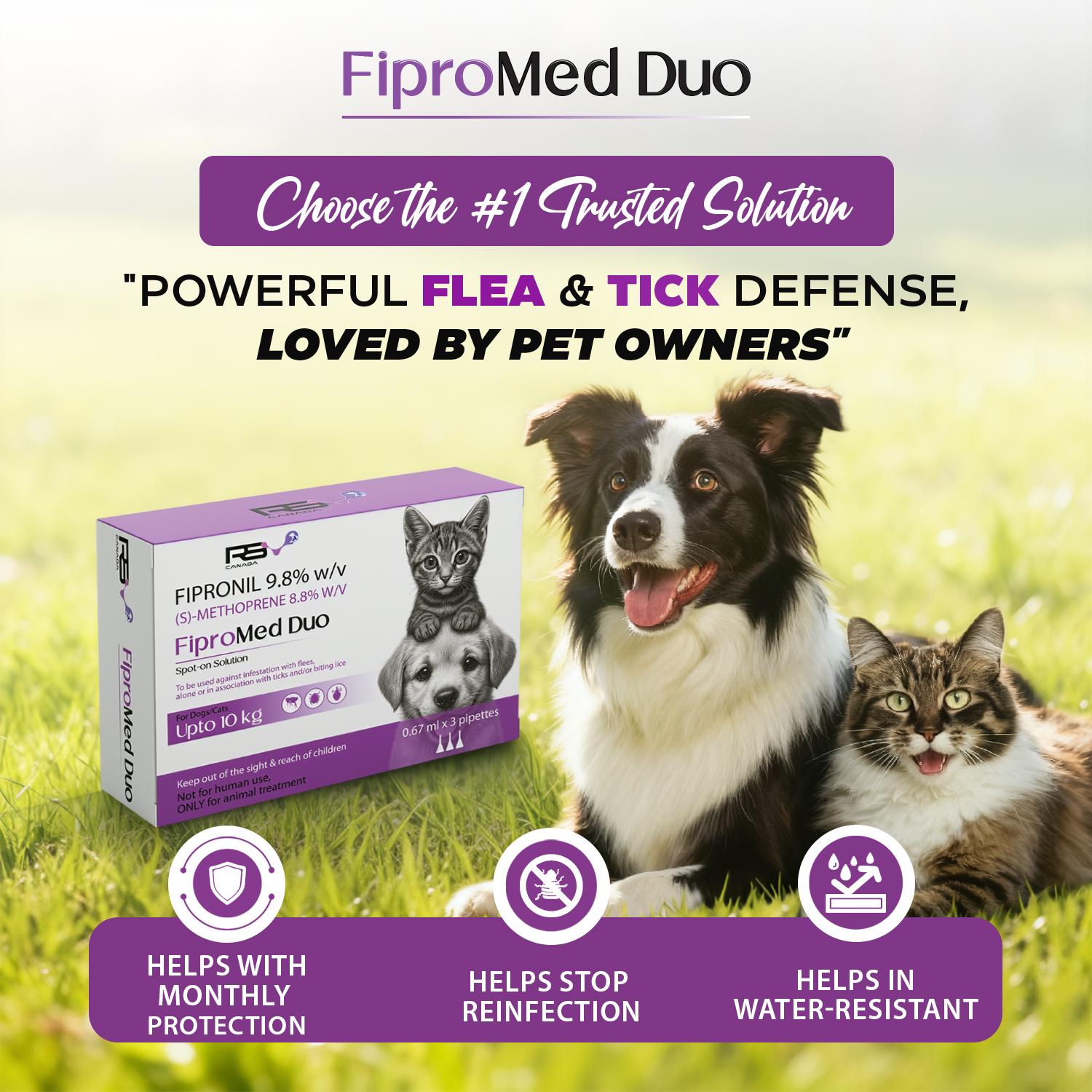 FiproMed Duo